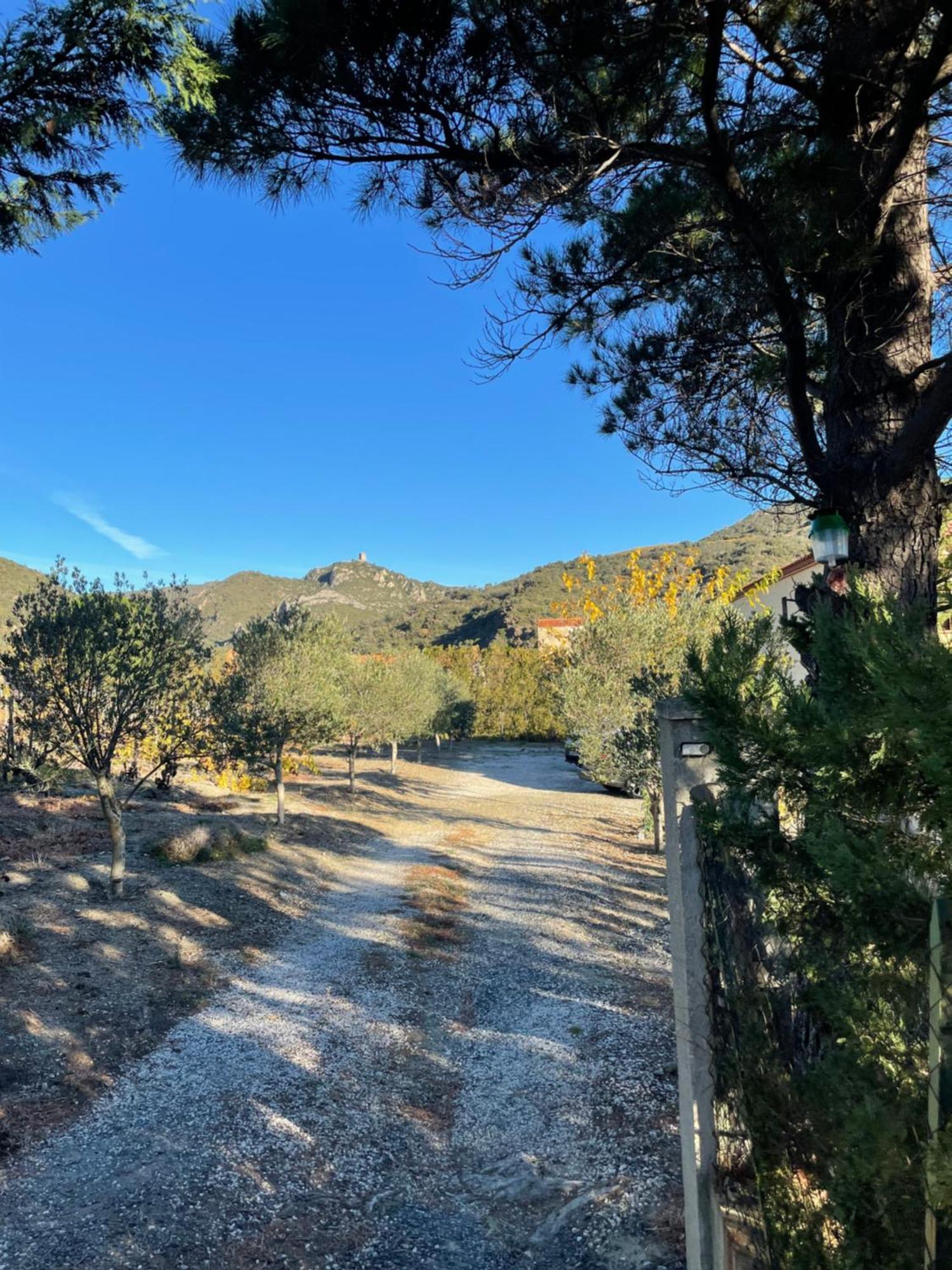 Coeur De Nature Rasigueres Dış mekan fotoğraf