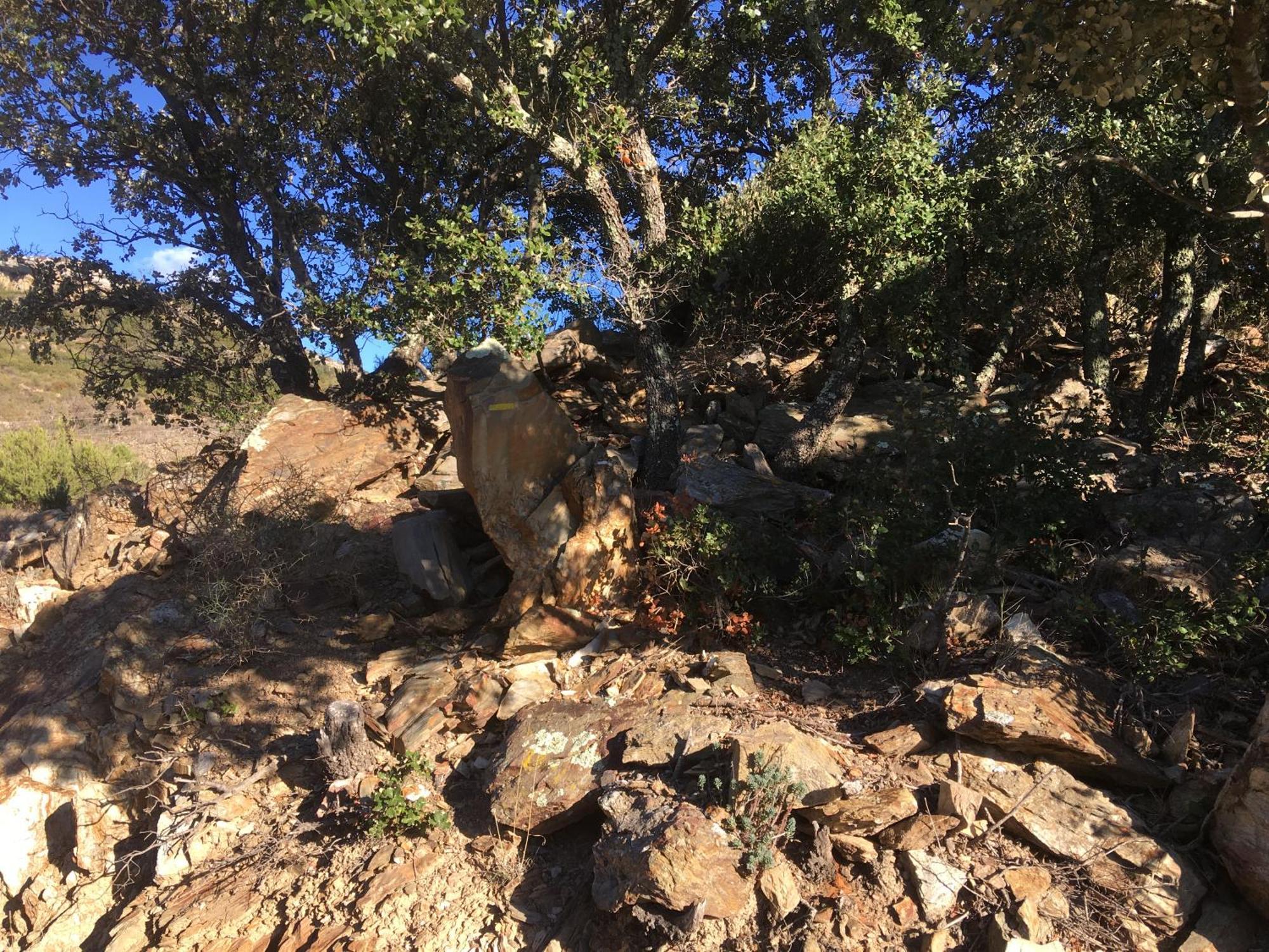 Coeur De Nature Rasigueres Dış mekan fotoğraf